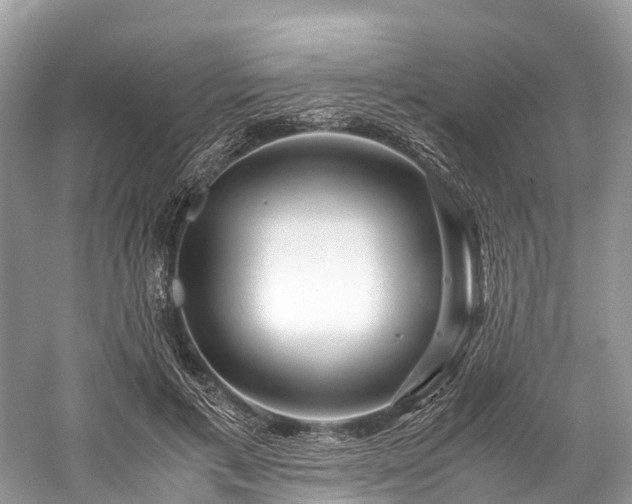 X0000059850597200510241506