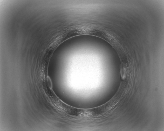 X0000059850599200510241506