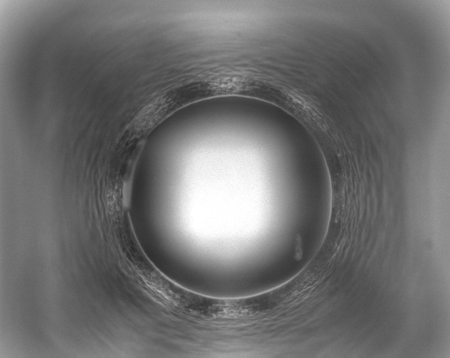X0000059850601200510241506
