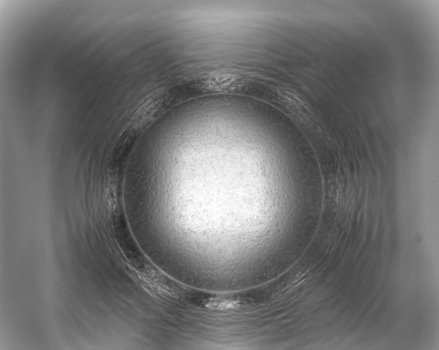 X0000059850602200510241506
