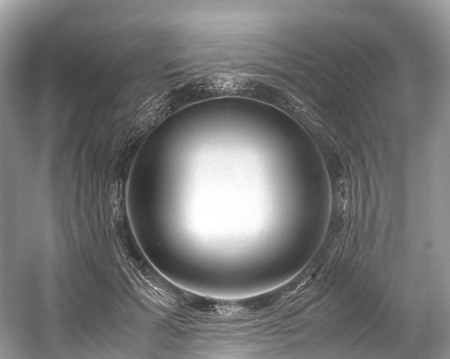 X0000059850605200510241506