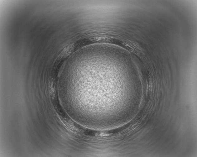 X0000059850607200510241506