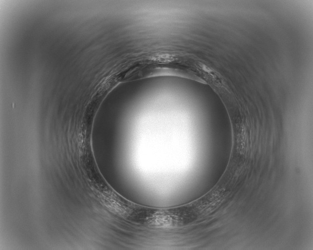 X0000059850608200510241506