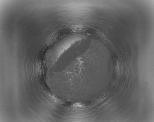 X0000059850610200510241506