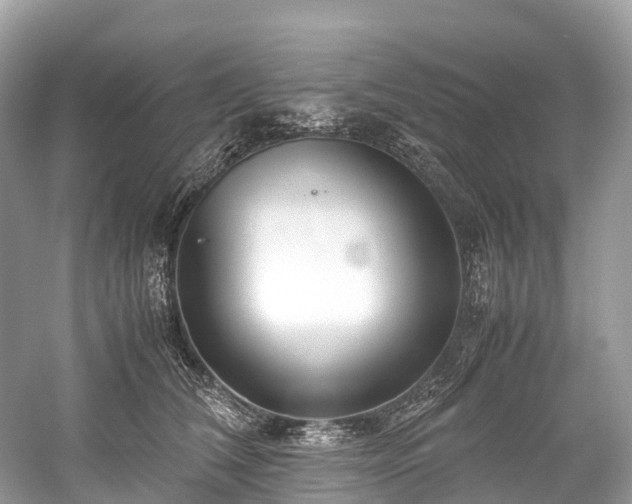 X0000059850612200510241506