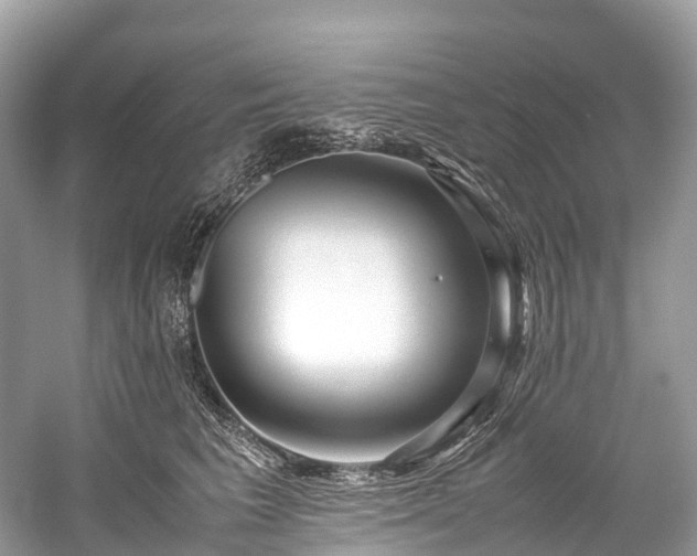 X0000059850613200510241506