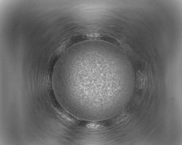 X0000059850614200510241506