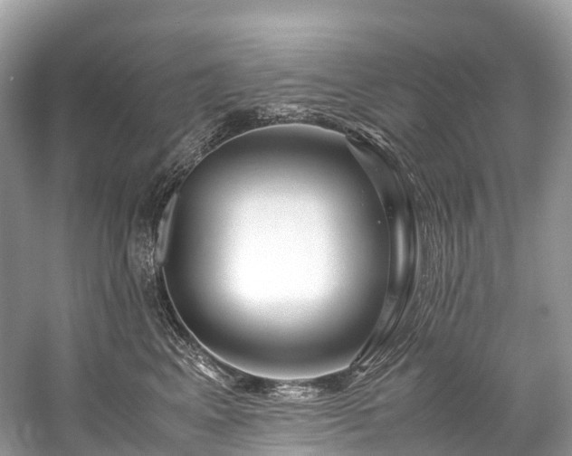 X0000059850617200510241505