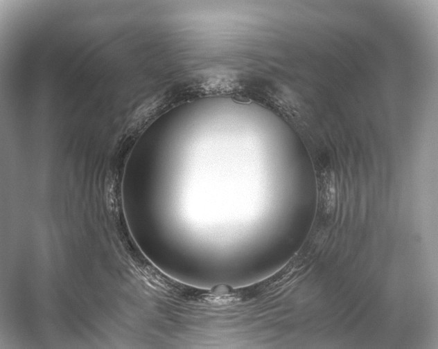 X0000059850619200510241505