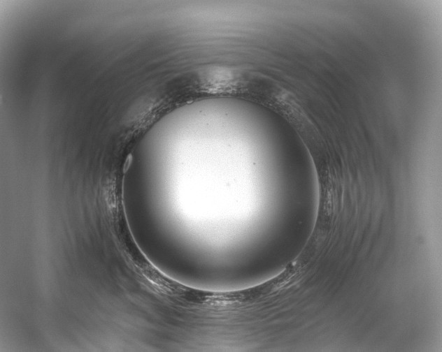 X0000059850620200510241505
