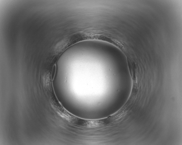 X0000059850623200510241505