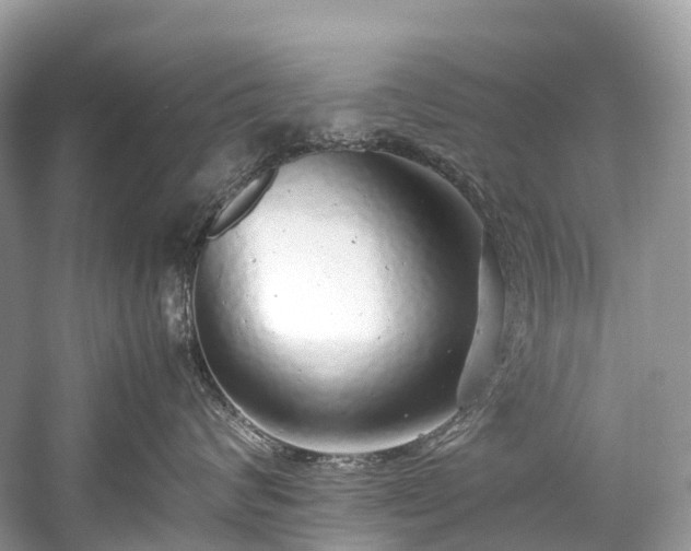 X0000059850624200510241505