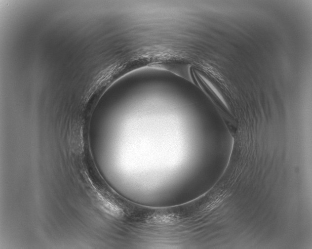 X0000059850638200510241505