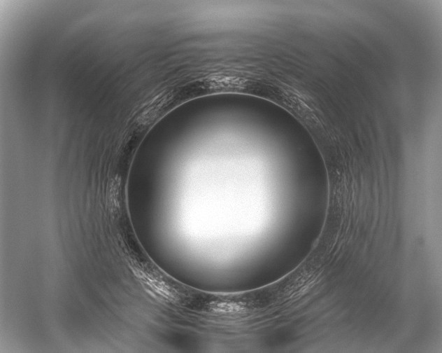 X0000059850649200510241505
