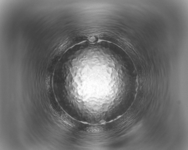 X0000059850652200510241505
