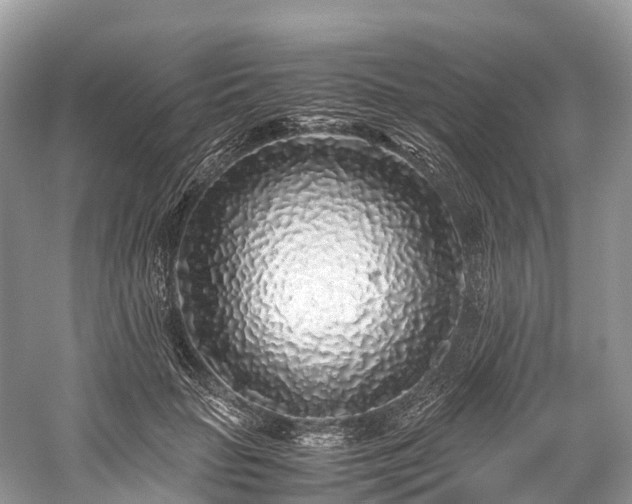 X0000059850653200510241505