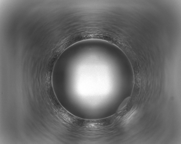 X0000059850657200510241505