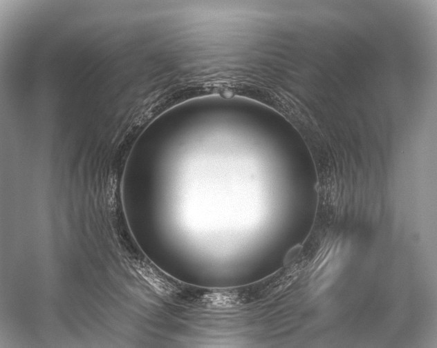 X0000059850660200510241505
