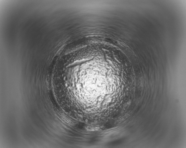 X0000059850661200510241505