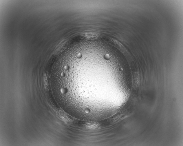 X0000059850667200510241505