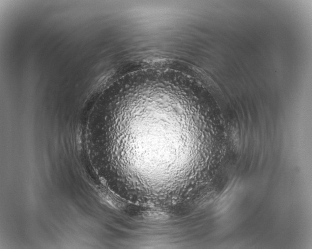 X0000059850668200510241505