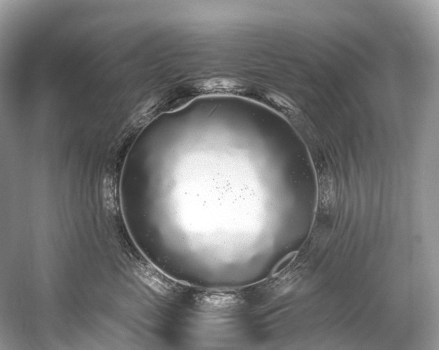 X0000059850669200510241505