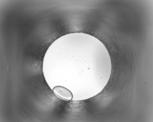 X0000059850672200510241505