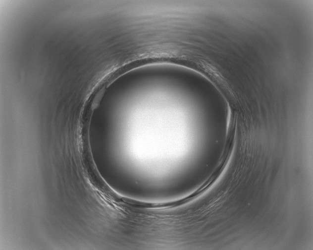 X0000059850676200510241504