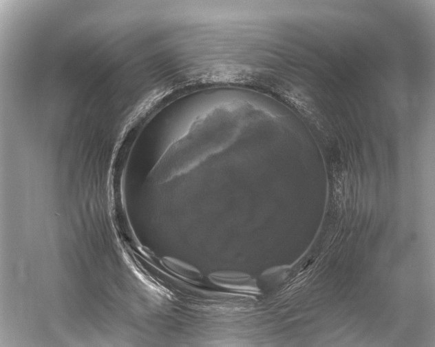 X0000059850678200510241504