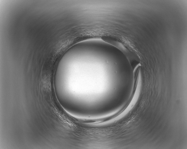 X0000059850681200510241504