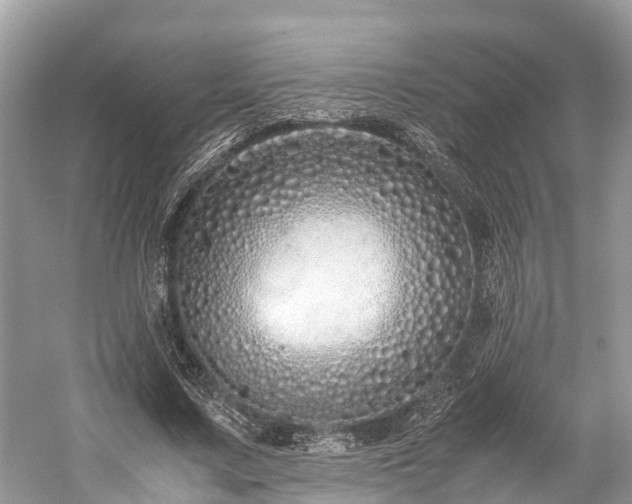 X0000059850683200510241504