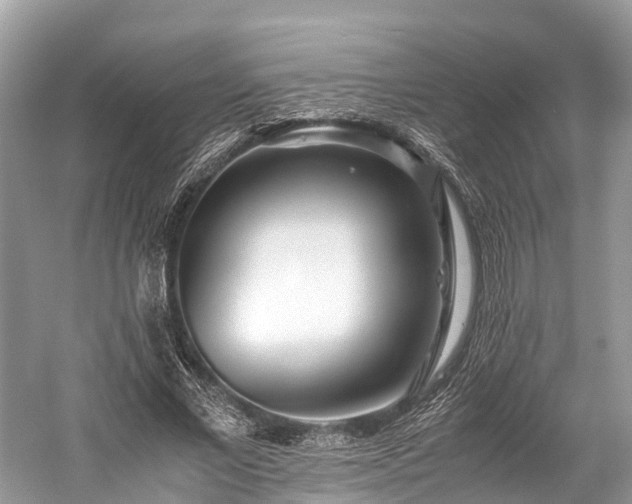 X0000059850685200510241504