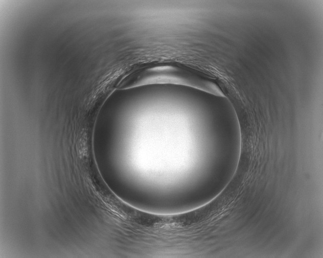 X0000059850689200510241504
