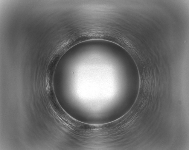 X0000059850692200510241504