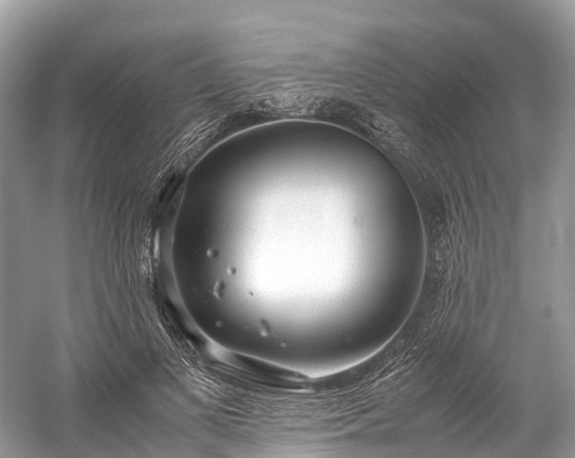 X0000059850693200510241504