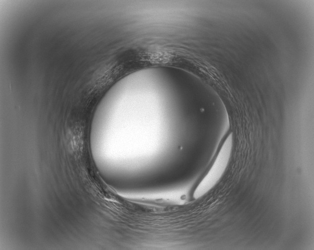 X0000059850697200510241504