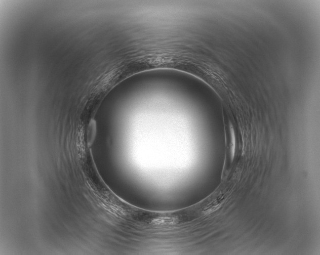 X0000059850700200510241504