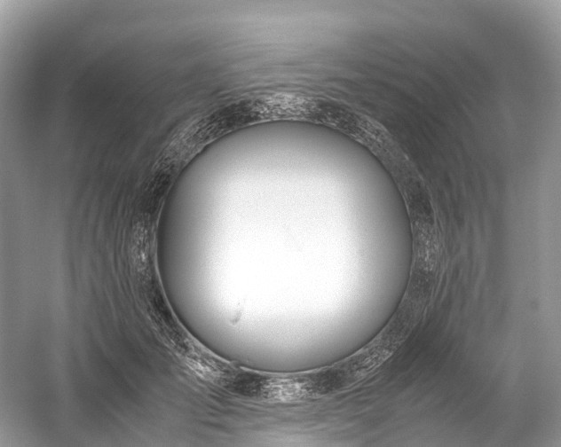 X0000059850701200510241504
