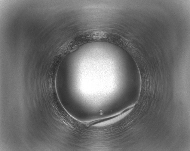 X0000059850704200510241504