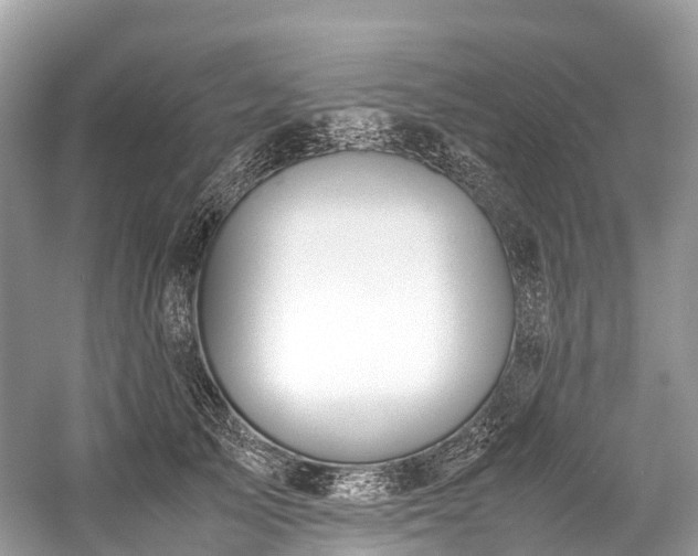 X0000059850705200510241504