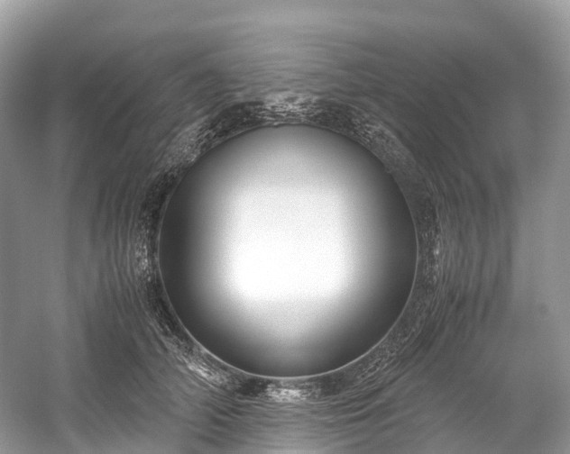 X0000059850706200510241504