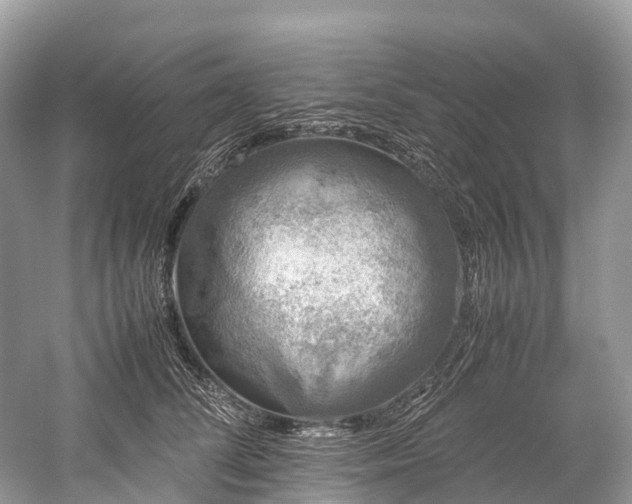 X0000059850708200510241504