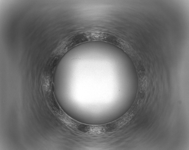 X0000059850709200510241504