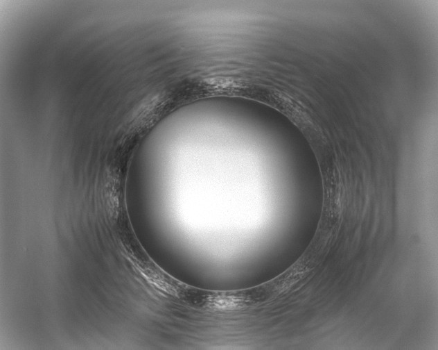 X0000059850710200510241504