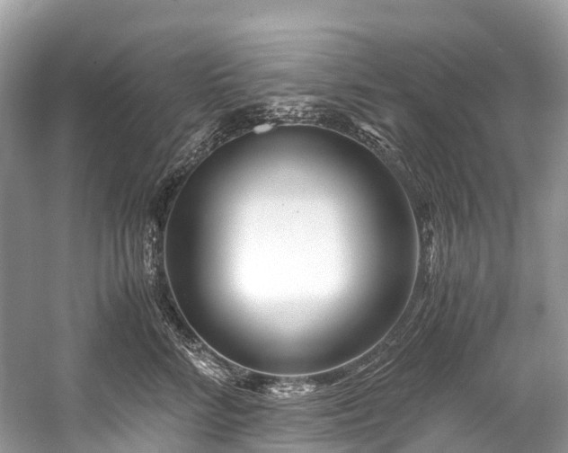 X0000059850712200510241504