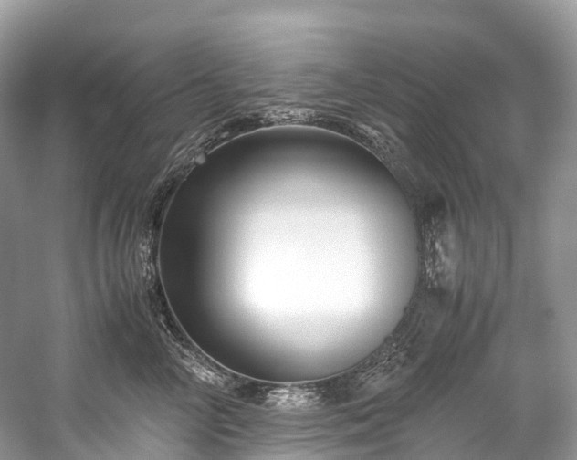 X0000059850714200510241504
