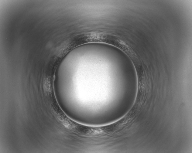 X0000059850715200510241504