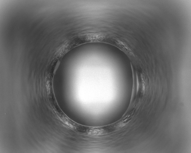 X0000059850716200510241504