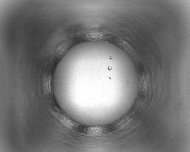 X0000059850717200510241504