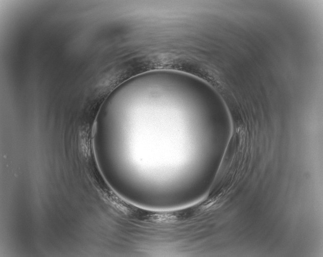 X0000059850719200510241504